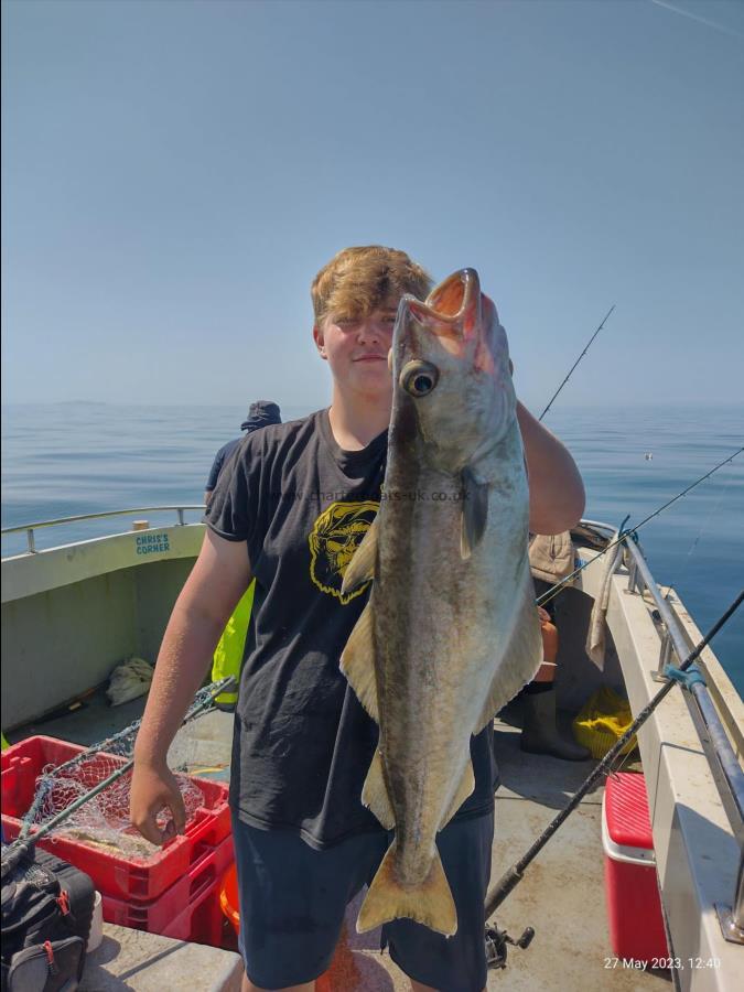 7 lb Pollock by Olly