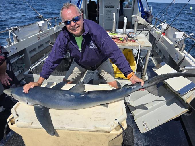 60 lb Blue Shark by Keri
