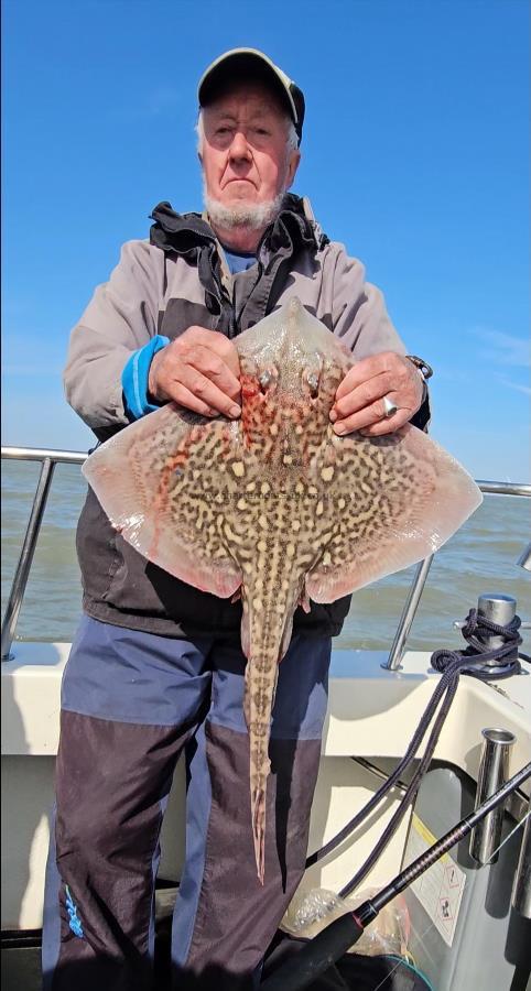 7 lb 1 oz Thornback Ray by Gordie