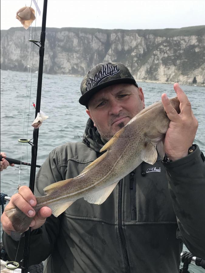 3 lb Cod by Guy from hull cod catching