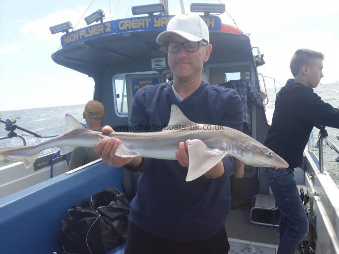 6 lb Starry Smooth-hound by Mark