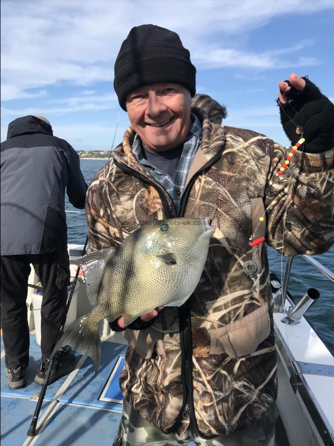 2 lb 2 oz Trigger Fish by Pete