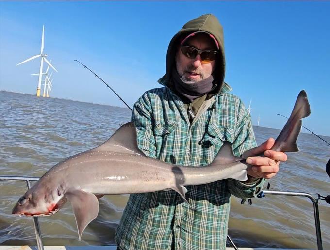 10 lb 1 oz Smooth-hound by Darryl