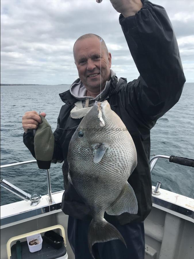 4 lb 14 oz Trigger Fish by Andy