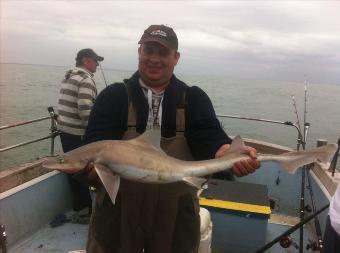 15 lb Starry Smooth-hound by edwin