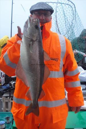 8 lb Pollock by Roy