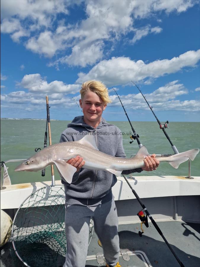 11 lb Smooth-hound (Common) by Logen