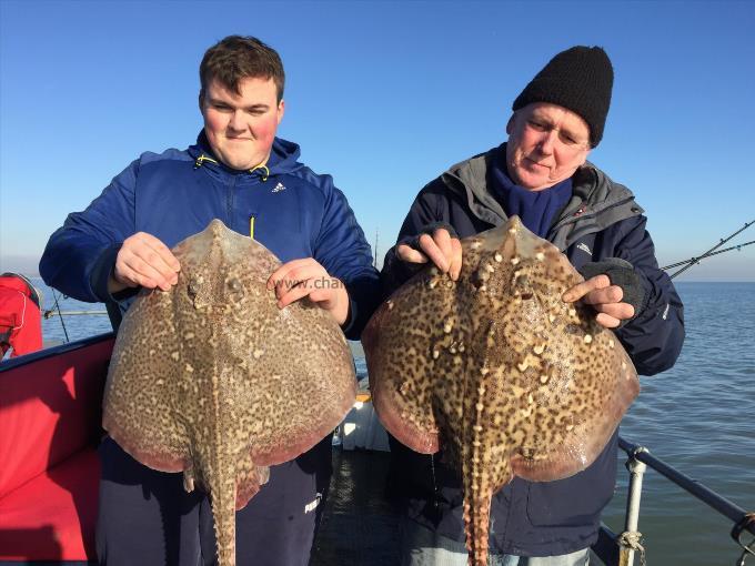 10 lb Thornback Ray by Unknown