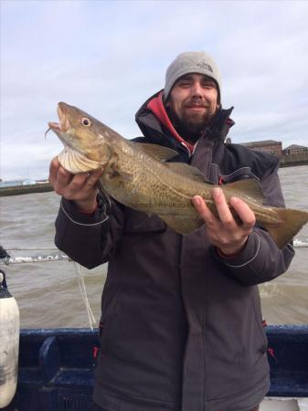 4 lb Cod by Unknown