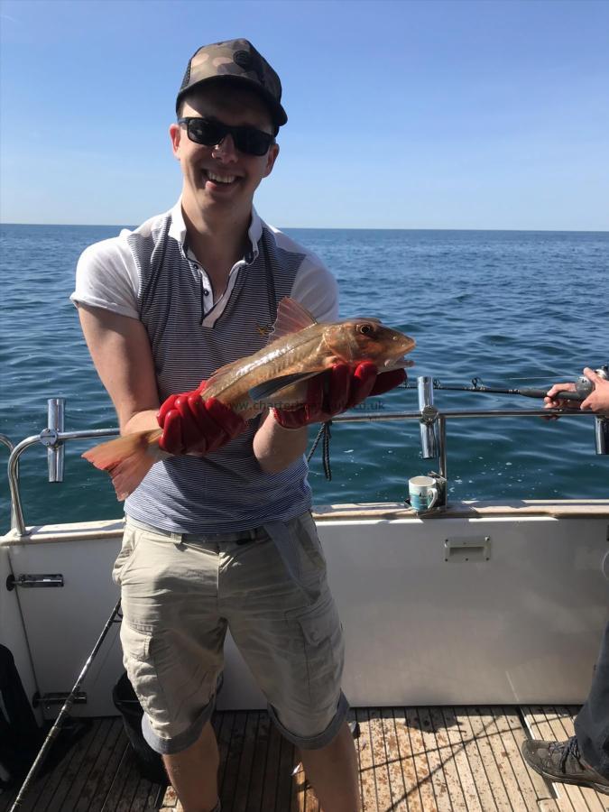 3 lb 6 oz Red Gurnard by Dan