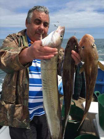 6 lb Ling (Common) by gary from bridlington with his ling and cod