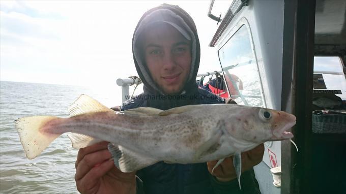 2 lb Cod by Dan from ramsgate