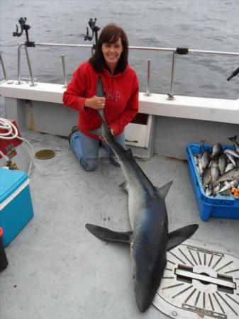 85 lb Blue Shark by Susan Peacock