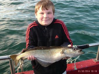 6 lb 2 oz Pollock by Unknown