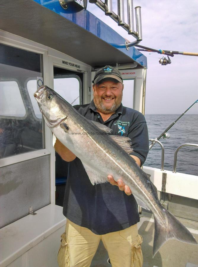 8 lb Coalfish (Coley/Saithe) by Darren Phillips