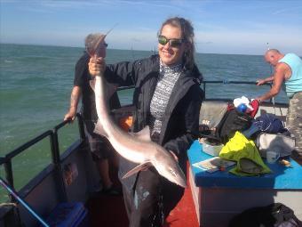 13 lb 5 oz Starry Smooth-hound by Sarah