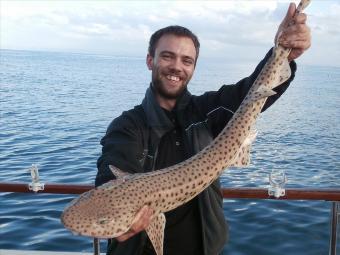 13 lb Bull Huss by Chris Randels