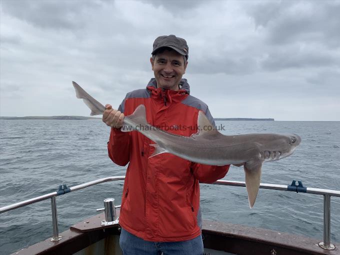 10 lb Smooth-hound (Common) by JC