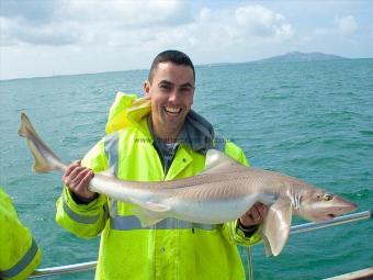 17 lb 2 oz Starry Smooth-hound by Shaun Hughes