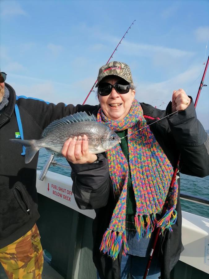 1 lb 2 oz Black Sea Bream by Judy