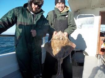 14 lb 8 oz Undulate Ray by Unknown