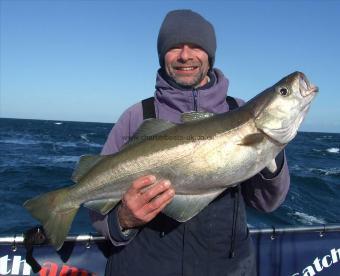 14 lb Pollock by Rick Hawkins