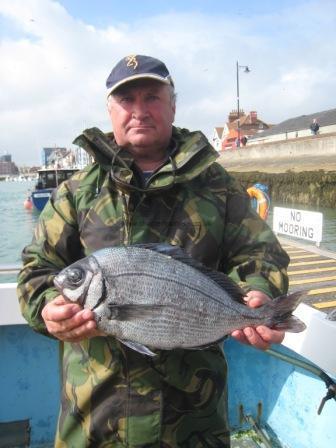 3 lb Black Sea Bream by Eamann Allen