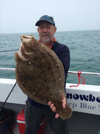 8 lb Brill by Unknown
