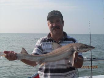5 lb 5 oz Smooth-hound (Common) by Paul Layton