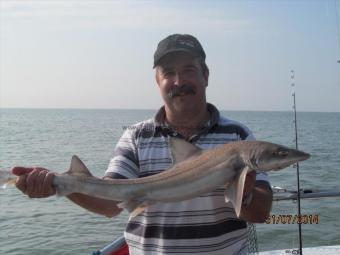 5 lb 5 oz Smooth-hound by Paul Layton