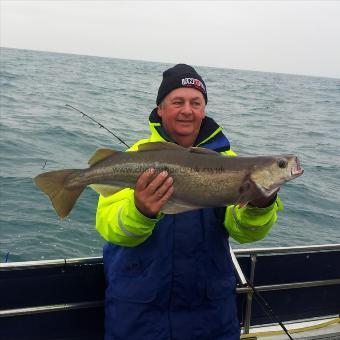 19 lb Pollock by Andy Bowyer