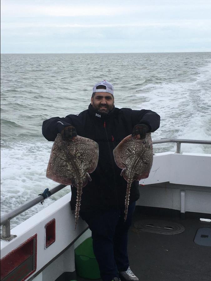 1 lb Thornback Ray by Unknown