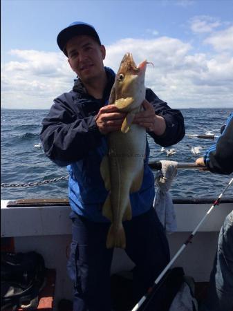 9 lb 5 oz Cod by Unknown