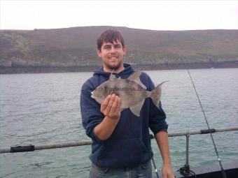 2 lb 4 oz Trigger Fish by Unknown