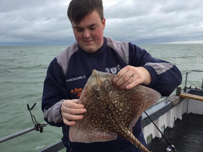 4 lb Thornback Ray by Charlie from ramsgate