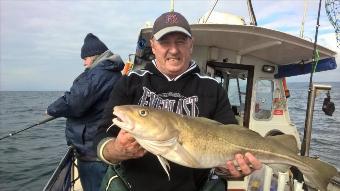 6 lb Cod by Stephen Wake