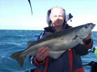 13 lb 8 oz Pollock by Robin Amor