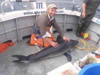 100 Kg Porbeagle by Rich Furness.