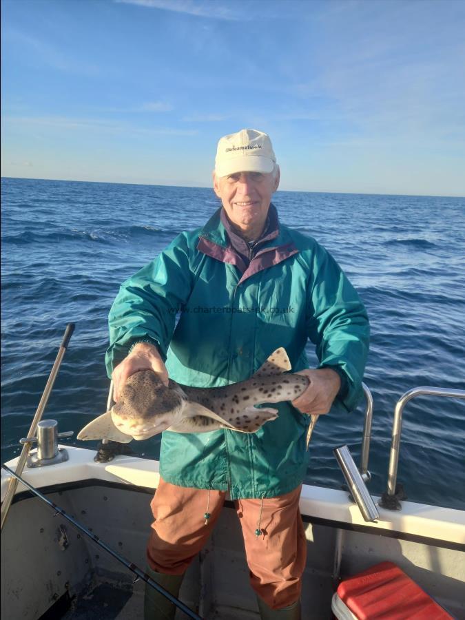 10 lb Bull Huss by Unknown