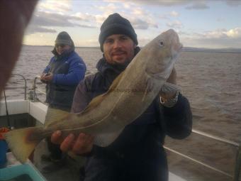 7 lb 12 oz Cod by aled daniels of the danglers