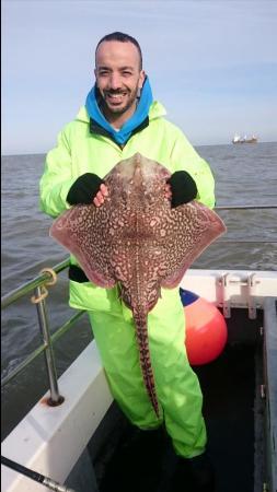 13 lb 8 oz Thornback Ray by Bob Marshall