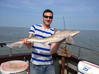 8 lb Smooth-hound (Common) by Dave A