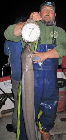 17 lb Conger Eel by Tim Smith Gosling