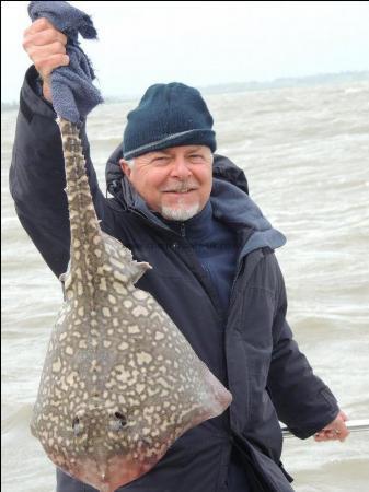 14 lb 7 oz Thornback Ray by Paul Booth