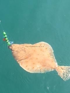 1 lb 8 oz Plaice by Colin Nurse