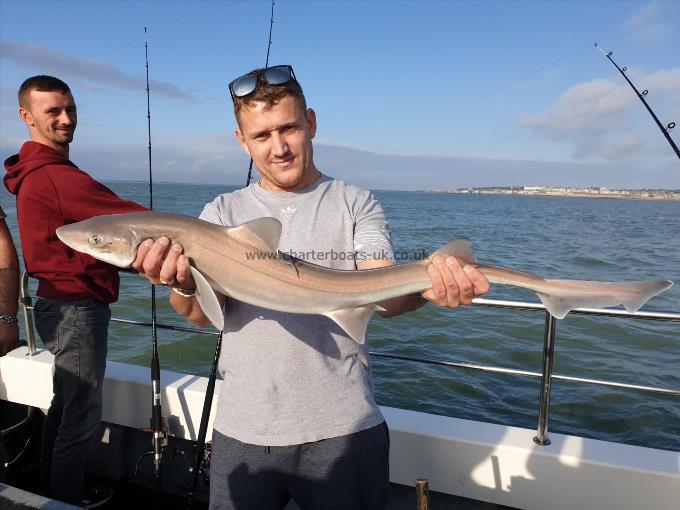 9 lb Smooth-hound (Common) by Bob Marshall