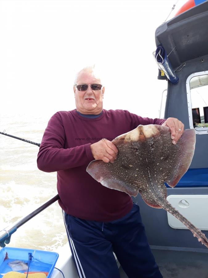 7 lb Thornback Ray by sam