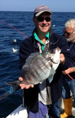 4 lb Black Sea Bream by Unknown