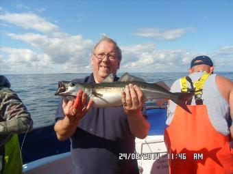 3 lb 6 oz Coalfish (Coley/Saithe) by Mike, Newcastle.