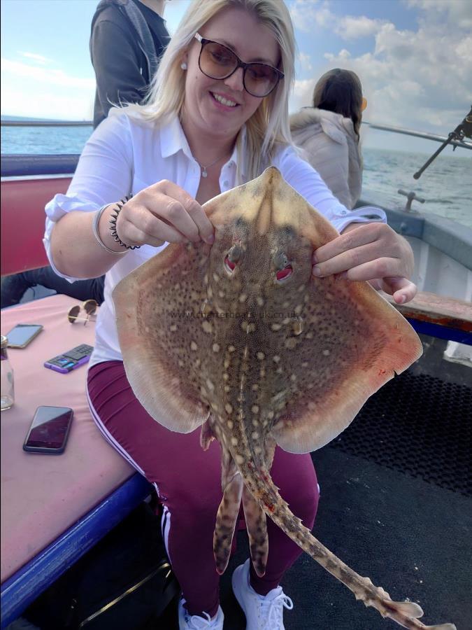 5 lb 1 oz Thornback Ray by Cloe